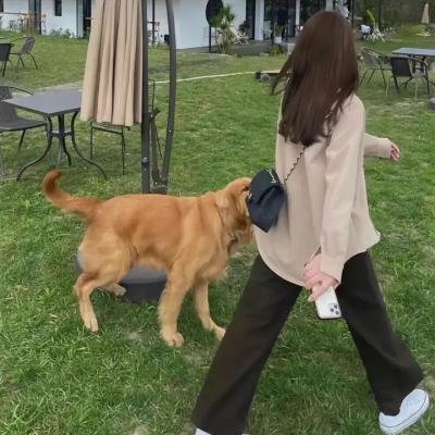 越南恐怖故事